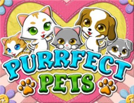 Purrfect Pets